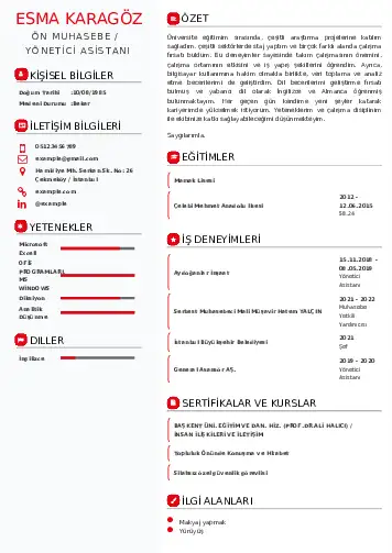 Yönetici Asistanı Cv Örnekleri cv indir